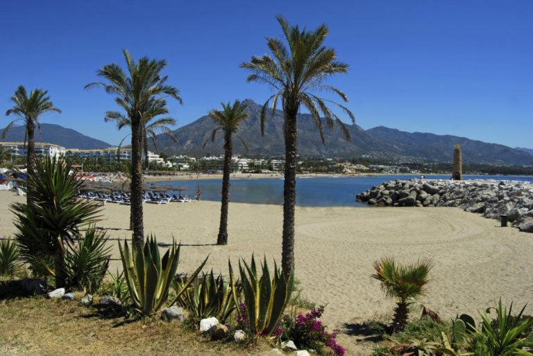 Renovado Apartamento 1 Dormitorio,Centro Marbella. Marbelsun Экстерьер фото